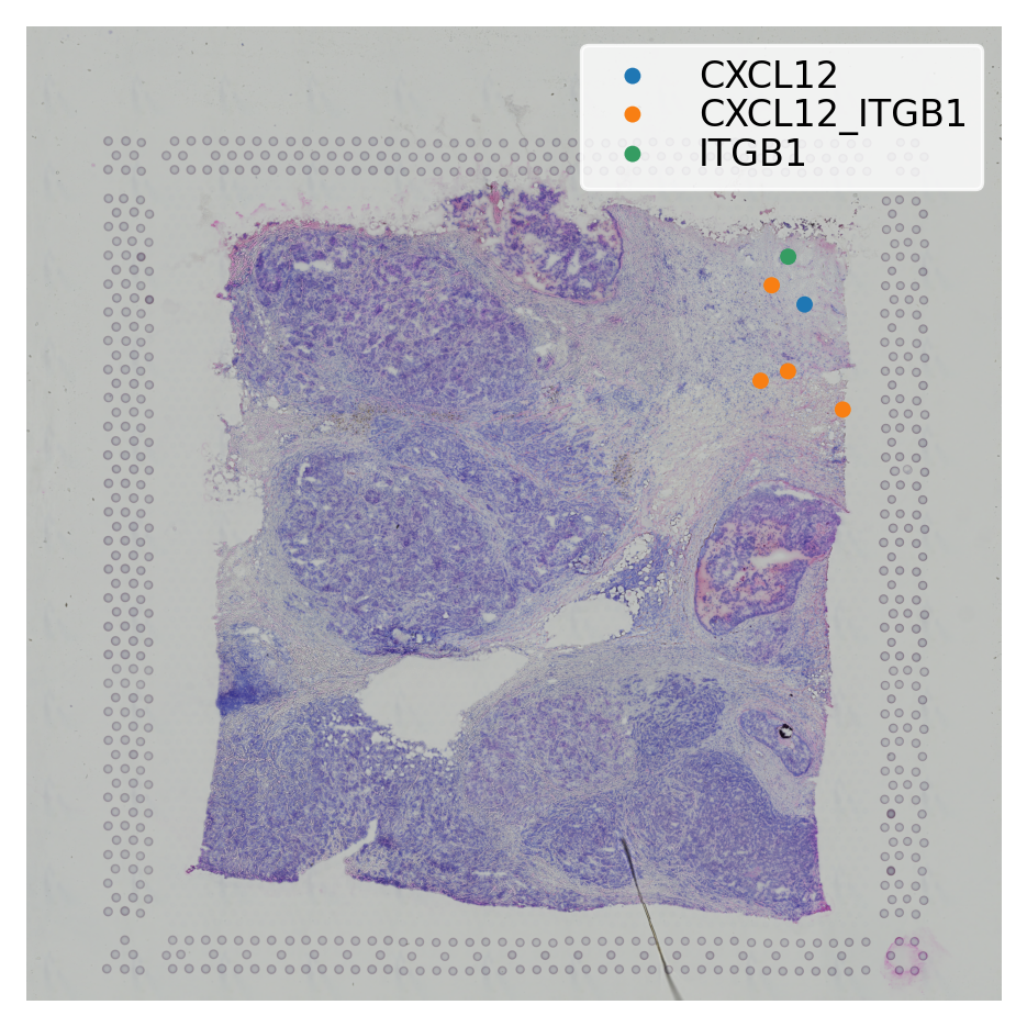 ../_images/tutorials_cell_cell_interaction_39_0.png