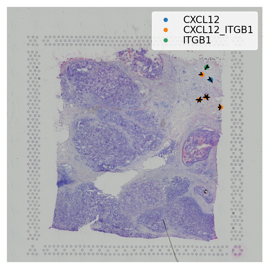 ../_images/tutorials_cell_cell_interaction_44_0.png