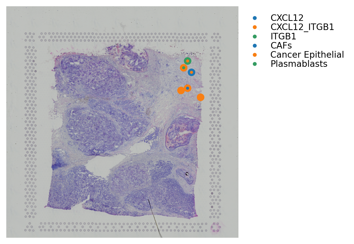 ../_images/tutorials_cell_cell_interaction_46_0.png