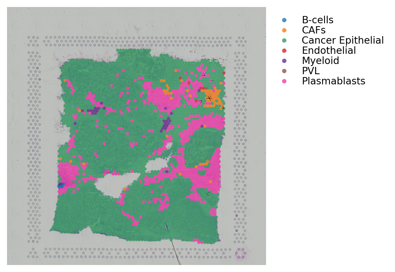 ../_images/tutorials_cell_cell_interaction_61_0.png