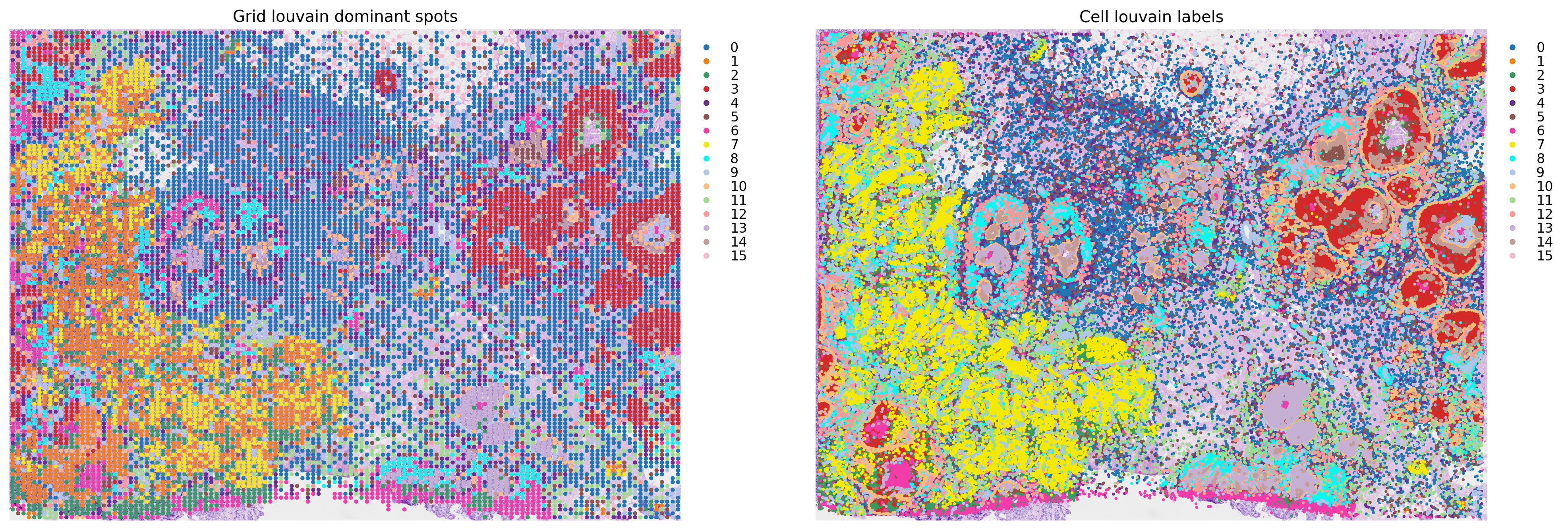 ../_images/tutorials_cell_cell_interaction_xenium_19_0.png
