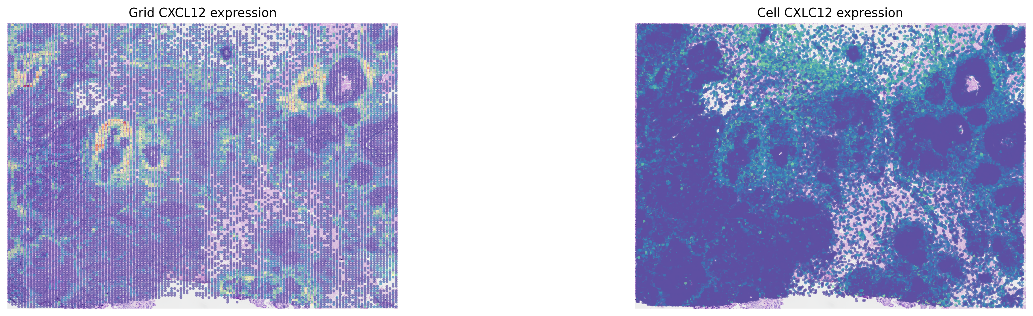 ../_images/tutorials_cell_cell_interaction_xenium_21_0.png