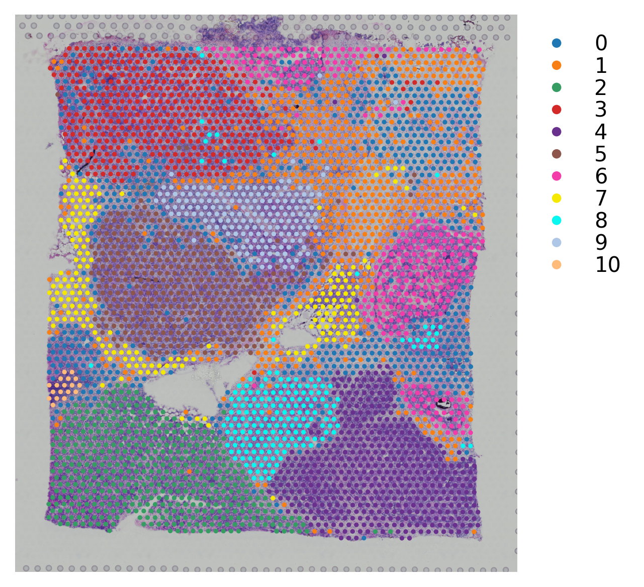 ../_images/tutorials_integrate_multiple_datasets_21_1.png