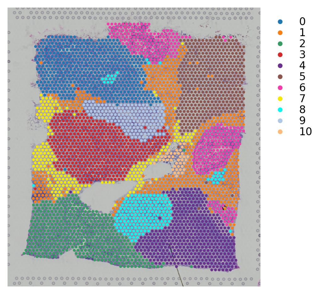 ../_images/tutorials_pseudotime_space_10_1.png