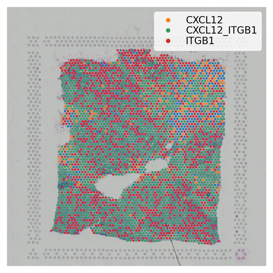 ../_images/tutorials_cell_cell_interaction_37_0.png