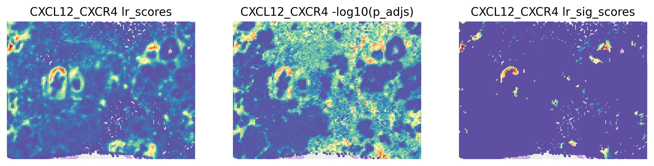 ../_images/tutorials_cell_cell_interaction_xenium_30_0.png