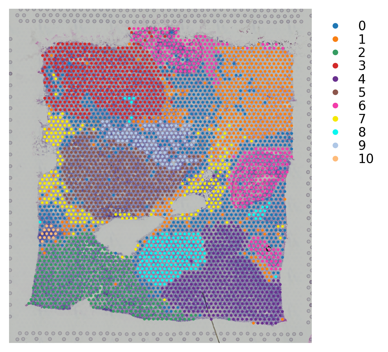 ../_images/tutorials_integrate_multiple_datasets_19_1.png
