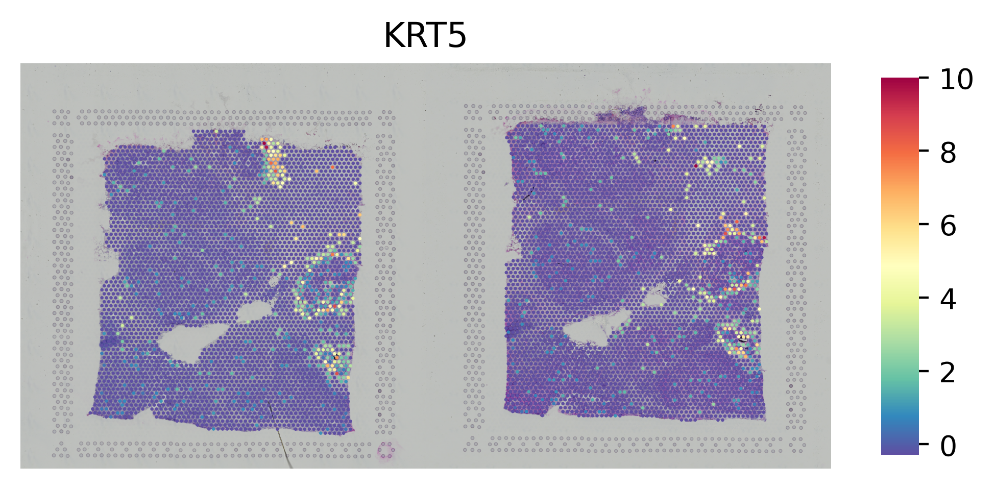 ../_images/tutorials_integrate_multiple_datasets_29_1.png