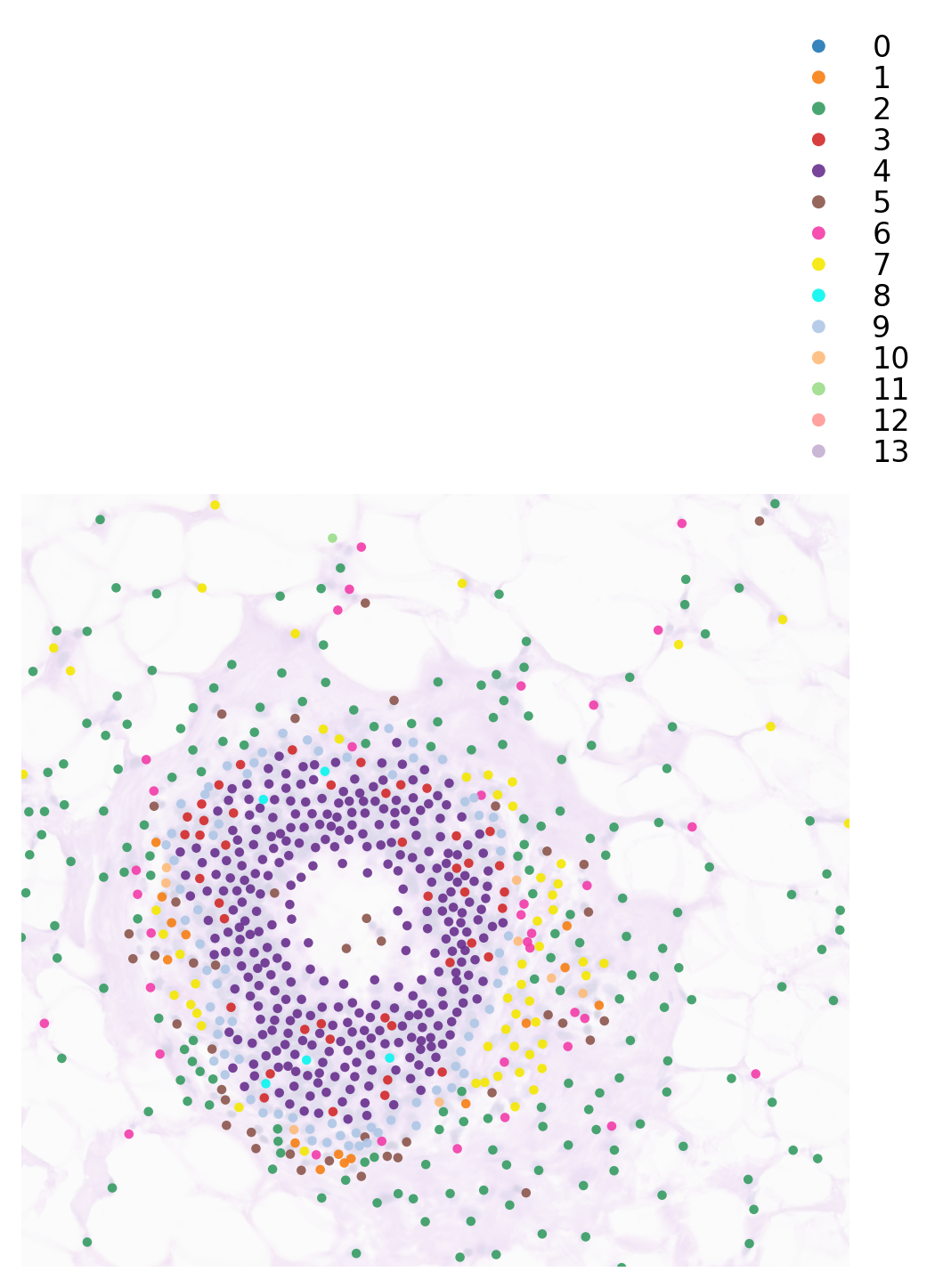 ../_images/tutorials_pseudotime_space_xenium_24_1.png